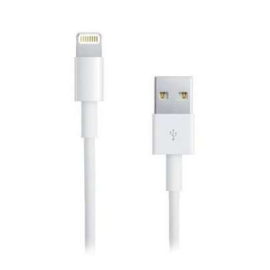 Кабель для Apple iPhone 5 (USB - lightning) (белый) — 1
